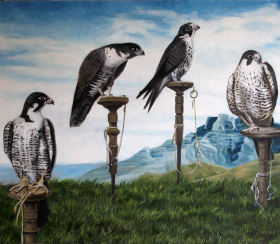 Falcons, 1995, Oil on canvas board 60.9x76.2cm